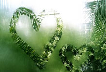 开云体育APP下载-2026世界杯焦点战，当麦迪逊广场的灯光，照亮了沈阳的凌晨